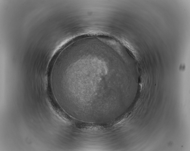 X0000089920488200707201821