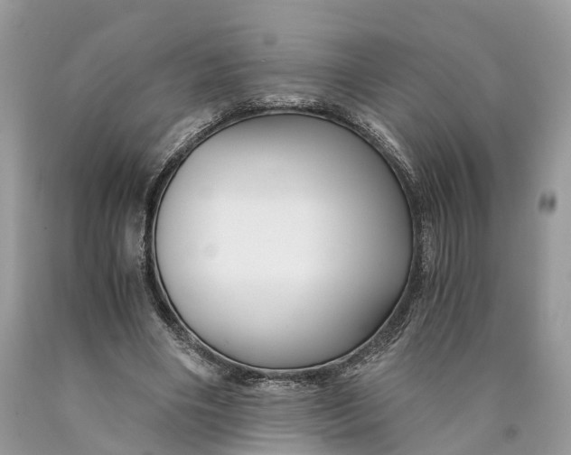 X0000089920490200707201821