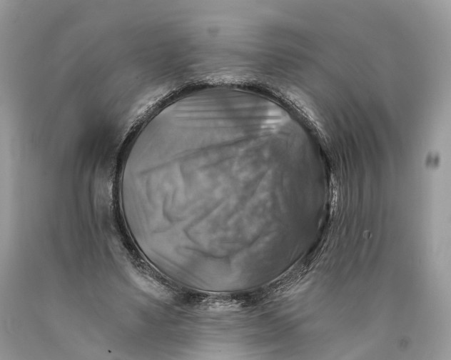 X0000089920491200707201821