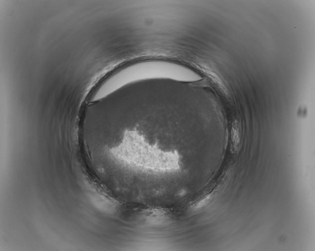 X0000089920492200707201821