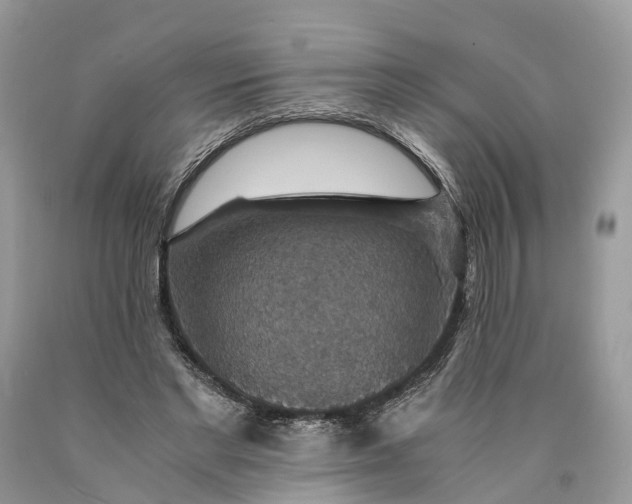 X0000089920493200707201821