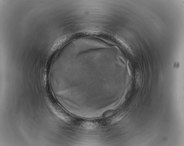 X0000089920494200707201821