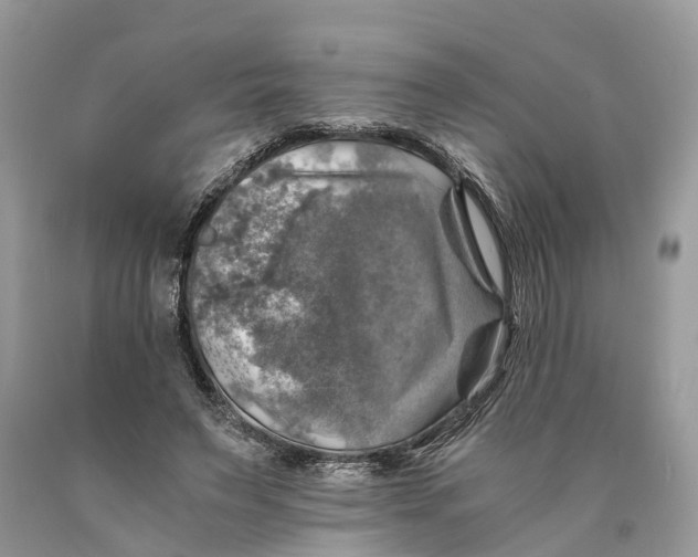 X0000089920495200707201821