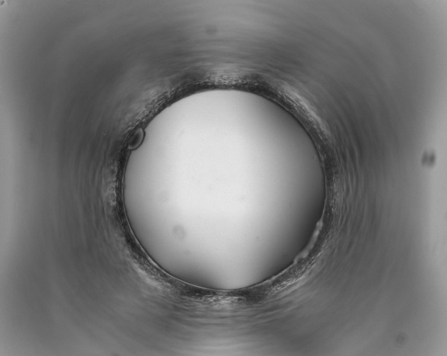 X0000089920497200707201821