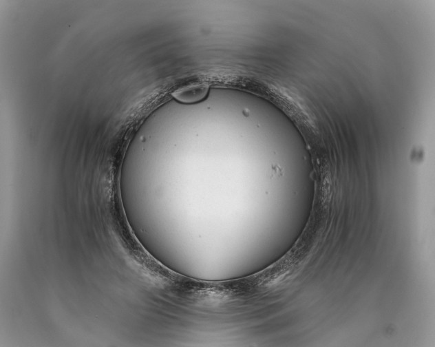 X0000089920498200707201821