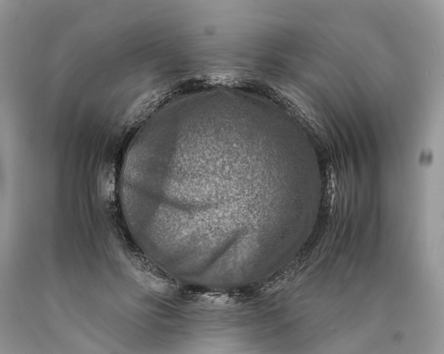 X0000089920502200707201821