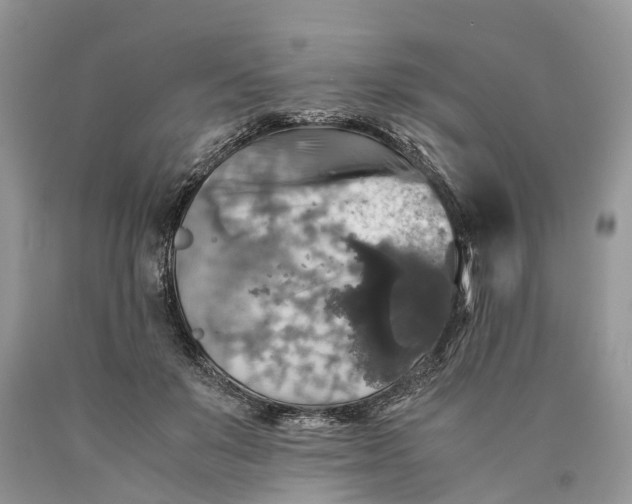 X0000089920503200707201821