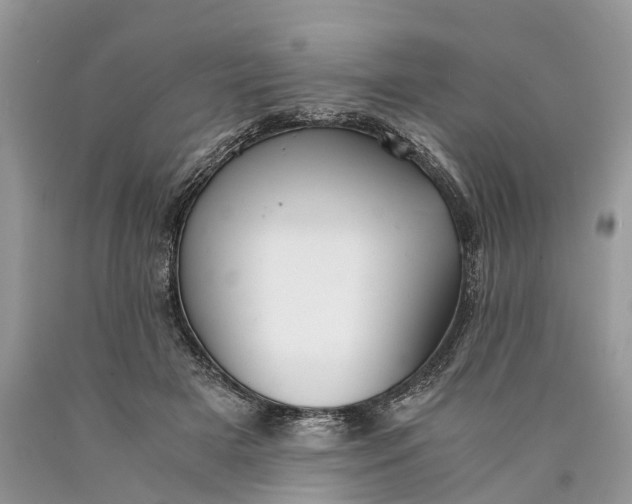 X0000089920505200707201821