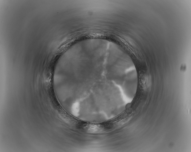 X0000089920507200707201821