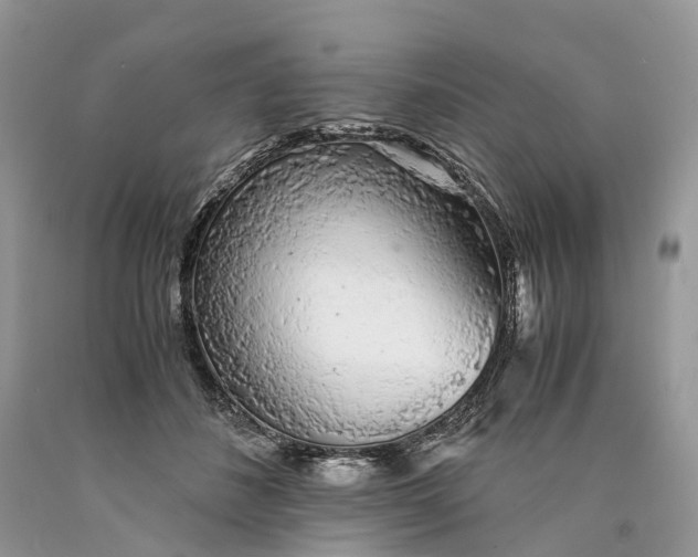 X0000089920508200707201821