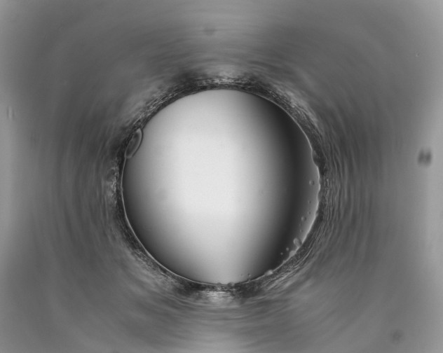 X0000089920509200707201821