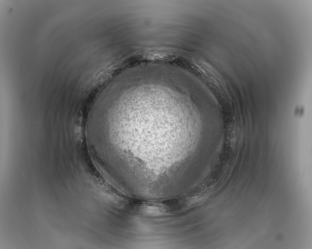 X0000089920510200707201821