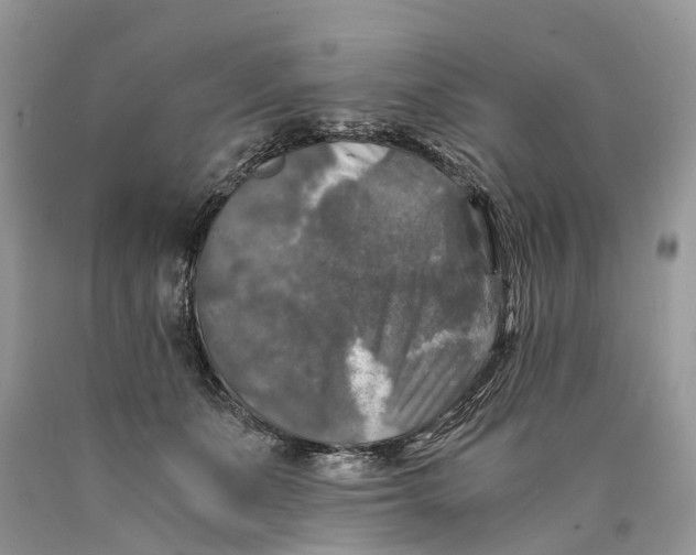 X0000089920511200707201821