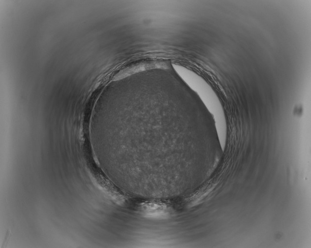 X0000089920512200707201821