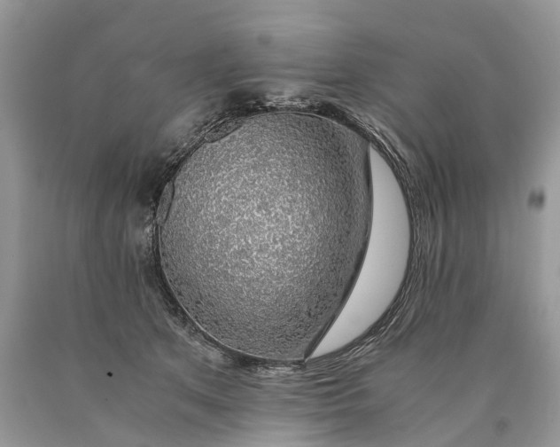 X0000089920513200707201821