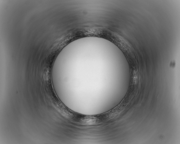 X0000089920514200707201821