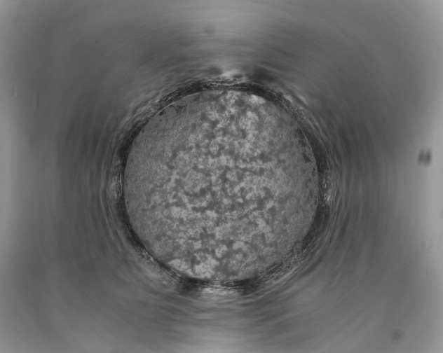 X0000089920515200707201821