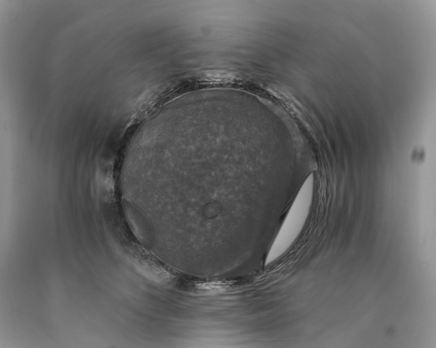 X0000089920516200707201821