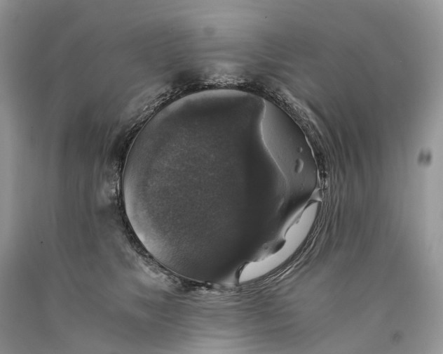 X0000089920517200707201821