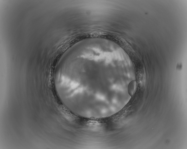 X0000089920519200707201821