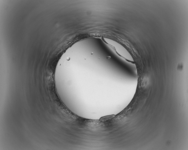 X0000089920521200707201821