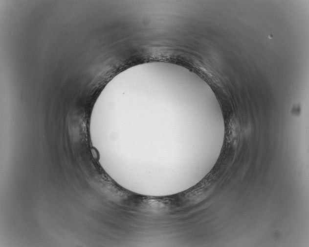 X0000089920522200707201821