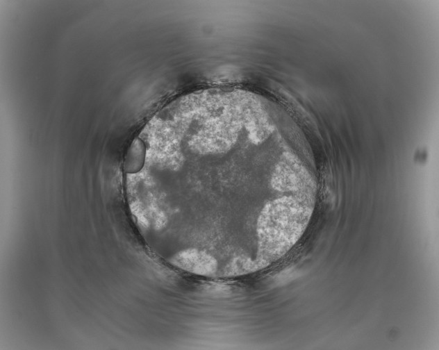 X0000089920523200707201821