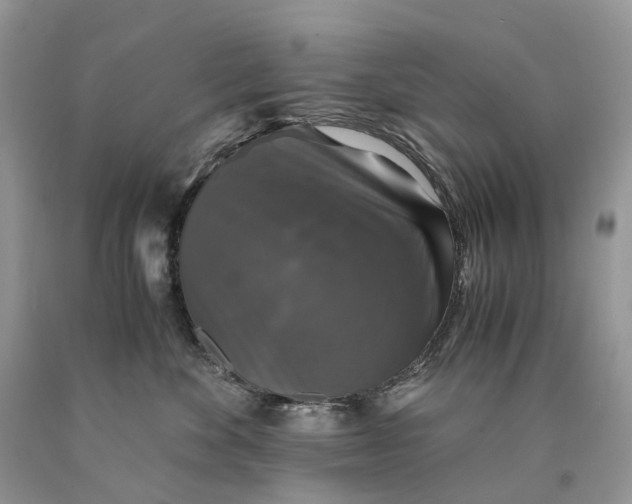 X0000089920524200707201821