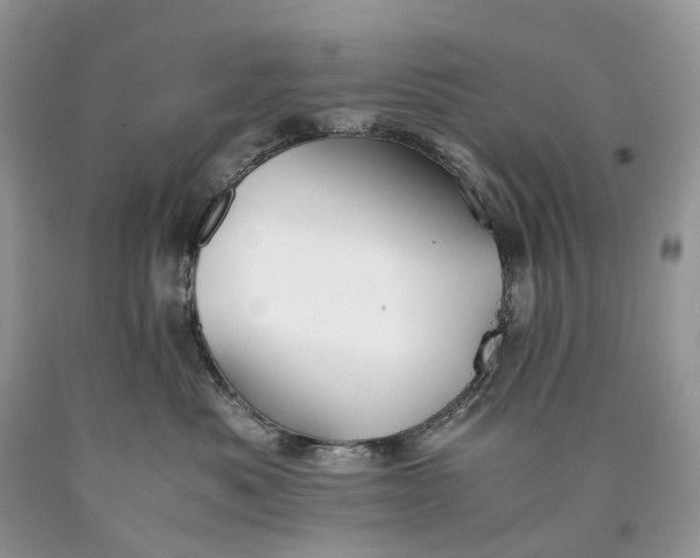 X0000089920525200707201821