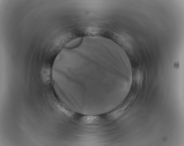 X0000089920526200707201821