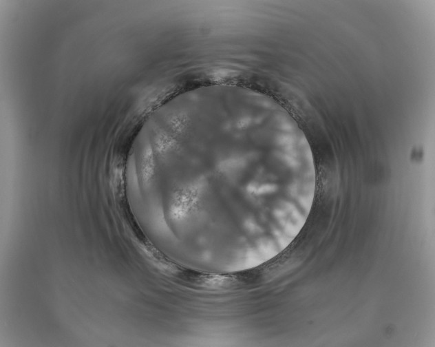 X0000089920527200707201821