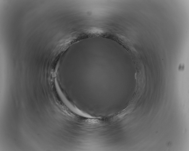 X0000089920528200707201821