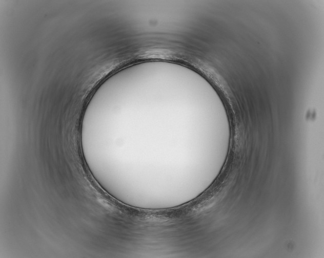 X0000089920529200707201820