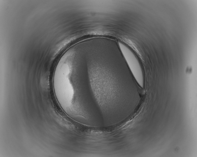 X0000089920531200707201820