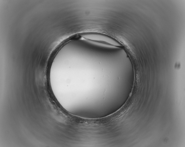 X0000089920532200707201820