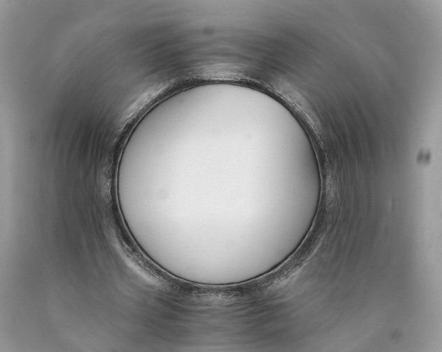 X0000089920533200707201820