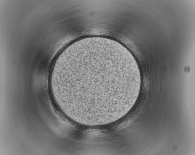 X0000089920534200707201820