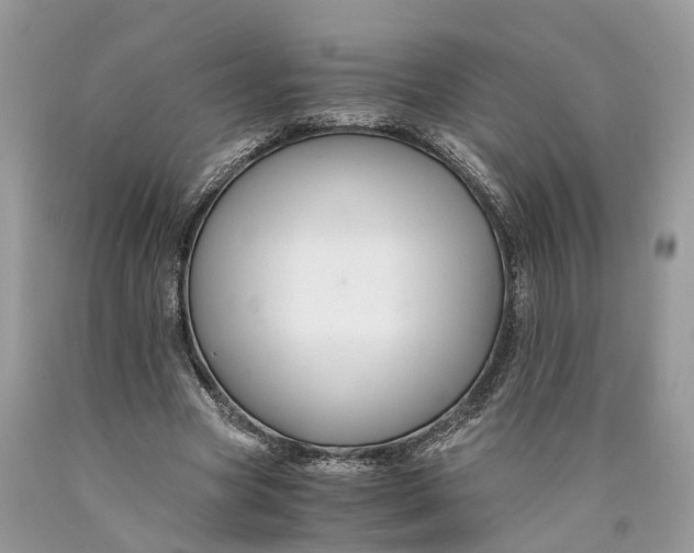 X0000089920537200707201820