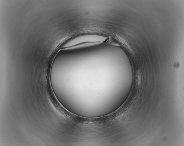 X0000089920538200707201820