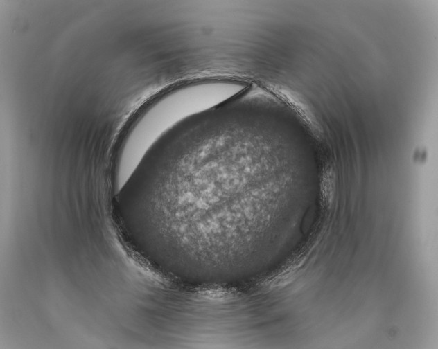 X0000089920540200707201820