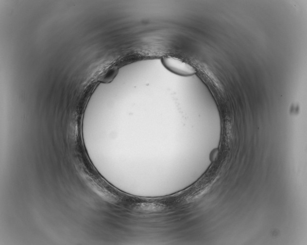 X0000089920541200707201820