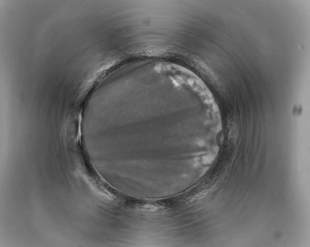 X0000089920542200707201820