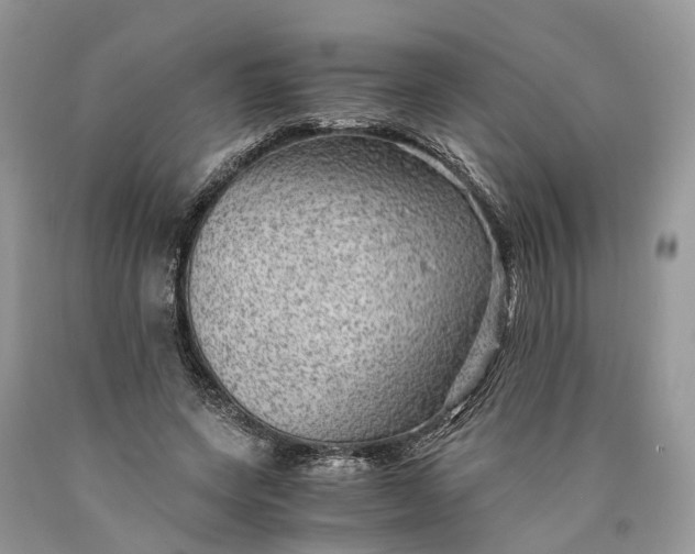 X0000089920543200707201820