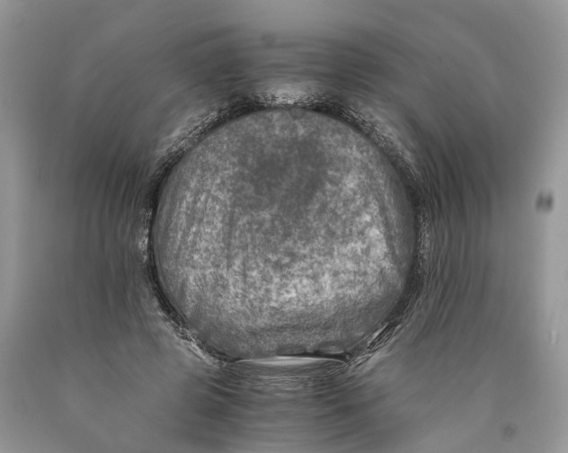 X0000089920545200707201820