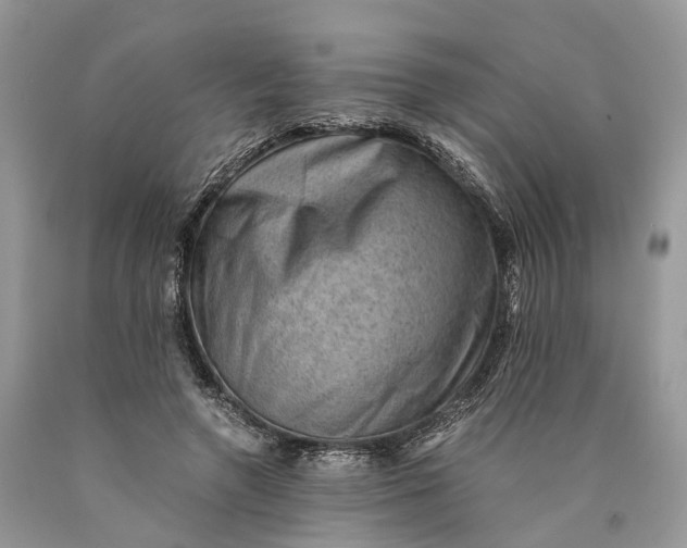 X0000089920546200707201820