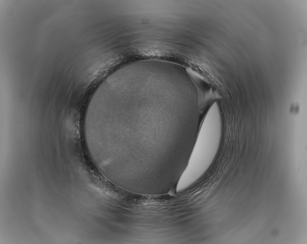 X0000089920547200707201820