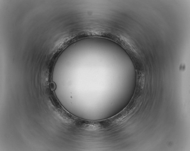 X0000089920548200707201820