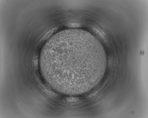 X0000089920549200707201820