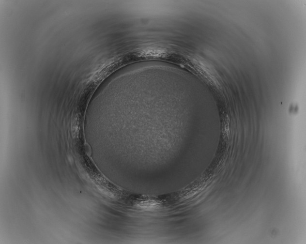 X0000089920551200707201820