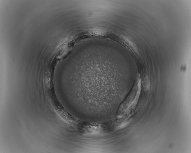 X0000089920552200707201820